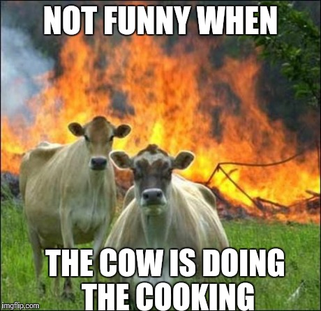 Evil Cows Meme | NOT FUNNY WHEN THE COW IS DOING THE COOKING | image tagged in memes,evil cows | made w/ Imgflip meme maker