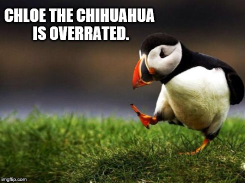 Unpopular Opinion Puffin | CHLOE THE CHIHUAHUA IS OVERRATED. | image tagged in memes,unpopular opinion puffin | made w/ Imgflip meme maker