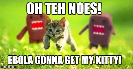 Kittens Running from Domo | OH TEH NOES! EBOLA GONNA GET MY KITTY! | image tagged in kittens running from domo | made w/ Imgflip meme maker