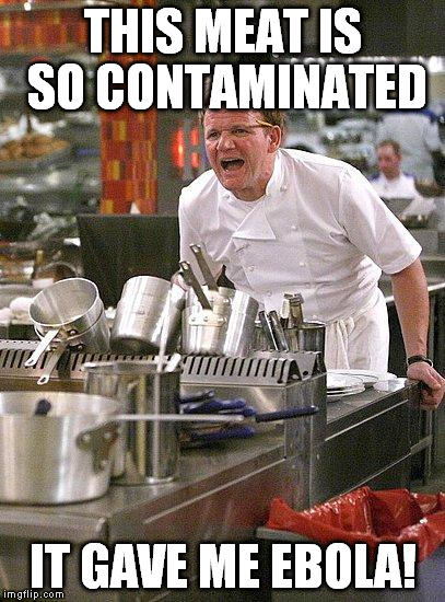 hell's kitchen | THIS MEAT IS SO CONTAMINATED IT GAVE ME EBOLA! | image tagged in hell's kitchen,ebola | made w/ Imgflip meme maker