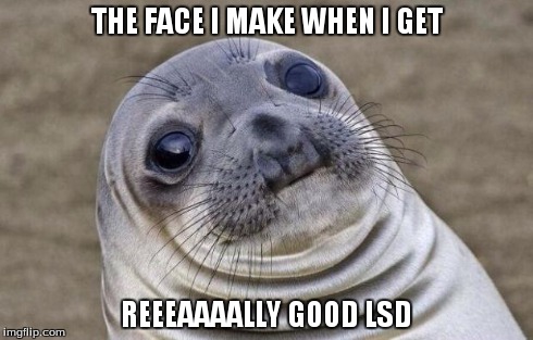 Acid Seal | THE FACE I MAKE WHEN I GET REEEAAAALLY GOOD LSD | image tagged in memes,awkward moment sealion,lsd,awkward sealion | made w/ Imgflip meme maker