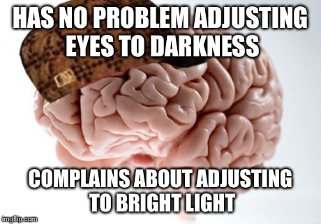 Every morning. | HAS NO PROBLEM ADJUSTING EYES TO DARKNESS COMPLAINS ABOUT ADJUSTING TO BRIGHT LIGHT | image tagged in memes,scumbag brain,funny | made w/ Imgflip meme maker