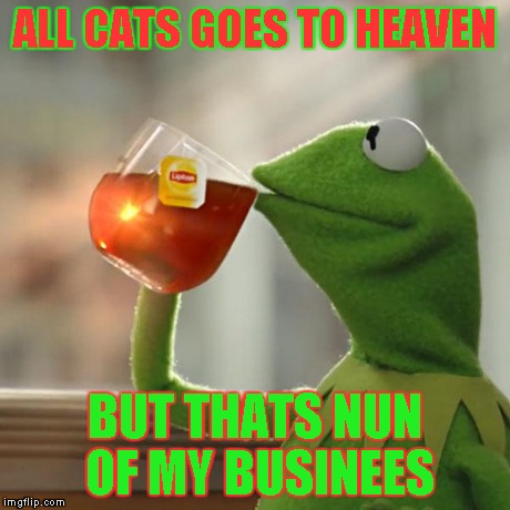 ALL CATS GOES TO HEAVEN BUT THATS NUN OF MY BUSINEES | image tagged in memes,but thats none of my business,kermit the frog | made w/ Imgflip meme maker