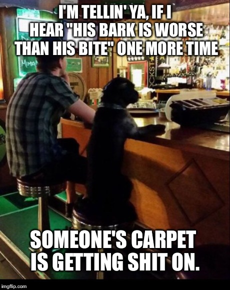 This is why I never take my dog out to the pub... | I'M TELLIN' YA, IF I HEAR "HIS BARK IS WORSE THAN HIS BITE" ONE MORE TIME SOMEONE'S CARPET IS GETTING SHIT ON. | image tagged in memes | made w/ Imgflip meme maker