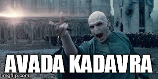 Voldemort | AVADA KADAVRA | image tagged in voldemort | made w/ Imgflip meme maker
