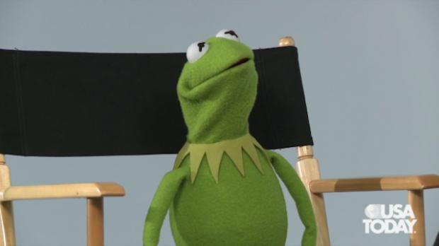 High Quality Kermit scared look Blank Meme Template