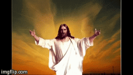 if jesus were a horse | image tagged in gifs,horse | made w/ Imgflip video-to-gif maker