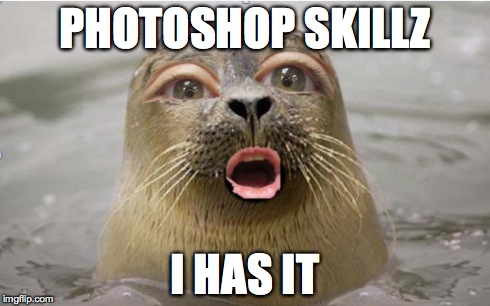 I HAS IT | PHOTOSHOP SKILLZ I HAS IT | image tagged in good editing | made w/ Imgflip meme maker