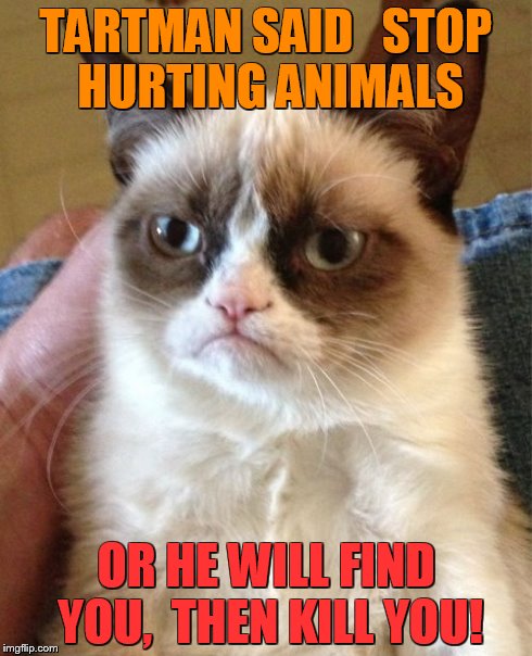 Grumpy Cat Meme | TARTMAN SAID 

STOP HURTING ANIMALS OR HE WILL FIND YOU,
 THEN KILL YOU! | image tagged in memes,grumpy cat | made w/ Imgflip meme maker