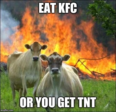 Evil Cows Meme | EAT KFC OR YOU GET TNT | image tagged in memes,evil cows,funny | made w/ Imgflip meme maker