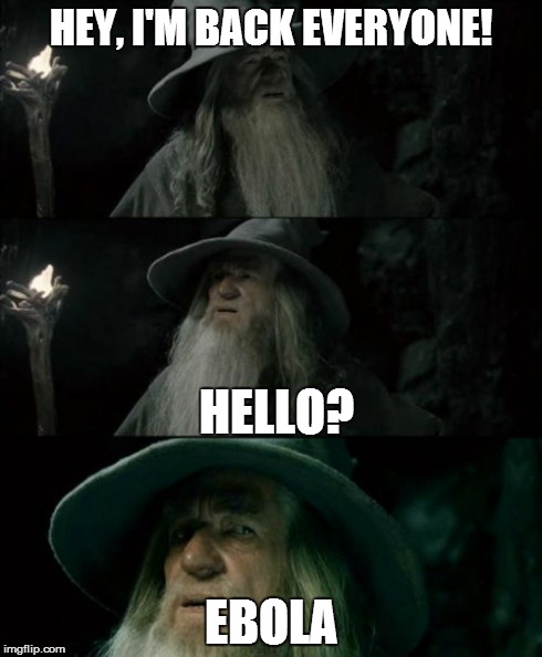 Confused Gandalf | HEY, I'M BACK EVERYONE! EBOLA HELLO? | image tagged in memes,confused gandalf | made w/ Imgflip meme maker