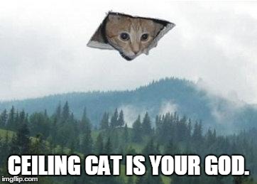 CEILING CAT IS YOUR GOD. | image tagged in ceiling cat | made w/ Imgflip meme maker