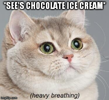Heavy Breathing Cat | *SEE'S CHOCOLATE ICE CREAM* | image tagged in memes,heavy breathing cat | made w/ Imgflip meme maker