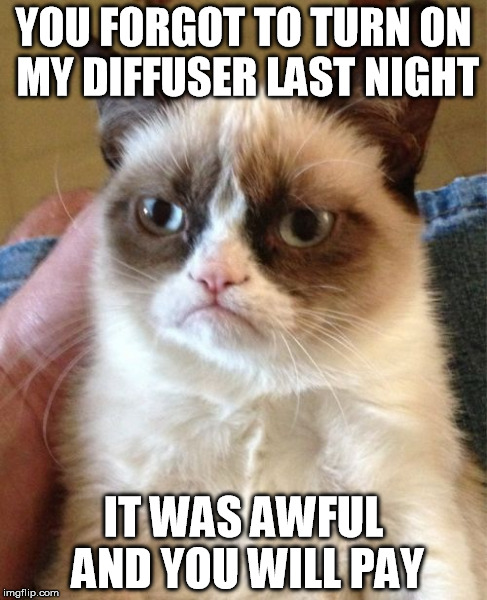Grumpy Cat | YOU FORGOT TO TURN ON MY DIFFUSER LAST NIGHT IT WAS AWFUL AND YOU WILL PAY | image tagged in memes,grumpy cat | made w/ Imgflip meme maker