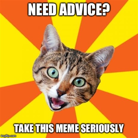 Bad Advice Cat | NEED ADVICE? TAKE THIS MEME SERIOUSLY | image tagged in memes,bad advice cat,funny | made w/ Imgflip meme maker