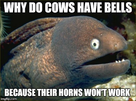 Bad Joke Eel | WHY DO COWS HAVE BELLS BECAUSE THEIR HORNS WON'T WORK | image tagged in memes,bad joke eel | made w/ Imgflip meme maker