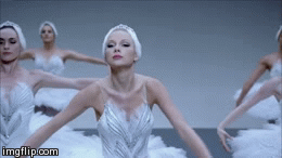 taylor <3 | image tagged in gifs,funny | made w/ Imgflip video-to-gif maker