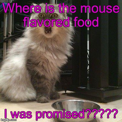 Cat food  | Where is the mouse flavored food I was promised????? | image tagged in empty food bowl | made w/ Imgflip meme maker
