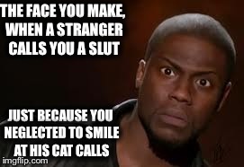 Kevin Hart Meme | THE FACE YOU MAKE, WHEN A STRANGER CALLS YOU A S**T JUST BECAUSE YOU NEGLECTED TO SMILE AT HIS CAT CALLS | image tagged in memes,kevin hart the hell | made w/ Imgflip meme maker