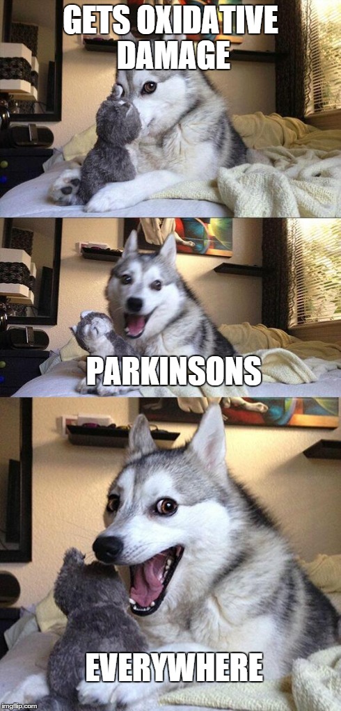 Bad Pun Dog Meme | GETS OXIDATIVE DAMAGE PARKINSONS EVERYWHERE | image tagged in memes,bad pun dog | made w/ Imgflip meme maker