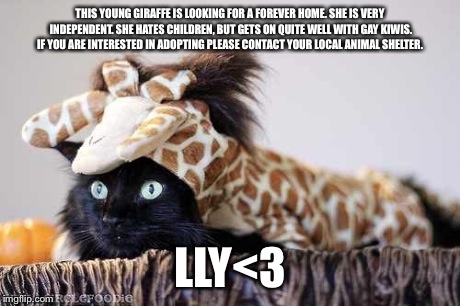 THIS YOUNG GIRAFFE IS LOOKING FOR A FOREVER HOME. SHE IS VERY INDEPENDENT. SHE HATES CHILDREN, BUT GETS ON QUITE WELL WITH GAY KIWIS. IF YOU | made w/ Imgflip meme maker