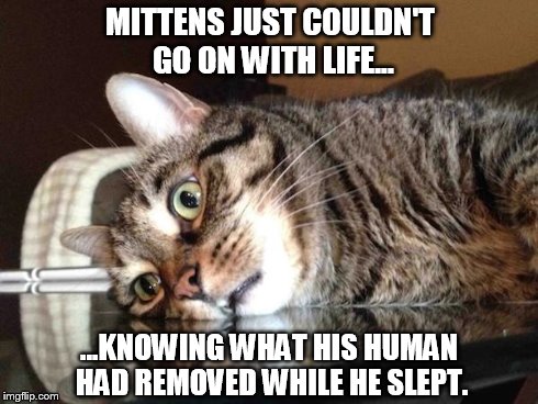 MITTENS JUST COULDN'T GO ON WITH LIFE... ...KNOWING WHAT HIS HUMAN HAD REMOVED WHILE HE SLEPT. | image tagged in mittens | made w/ Imgflip meme maker