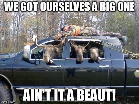 Ain't It A Beaut! | WE GOT OURSELVES A BIG ONE AIN'T IT A BEAUT! | image tagged in memes,funny,moose | made w/ Imgflip meme maker