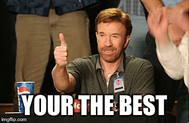 Chuck Norris Approves Meme | YOUR THE BEST | image tagged in memes,chuck norris approves | made w/ Imgflip meme maker
