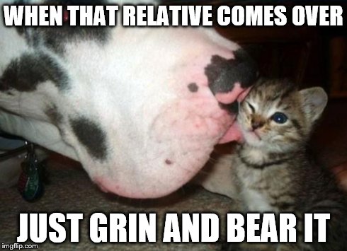 why oh why? | WHEN THAT RELATIVE COMES OVER JUST GRIN AND BEAR IT | image tagged in memes | made w/ Imgflip meme maker