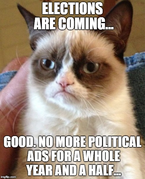 Yeah... We all get sick of them. | ELECTIONS ARE COMING... GOOD. NO MORE POLITICAL ADS FOR A WHOLE YEAR AND A HALF... | image tagged in memes,grumpy cat,political,politics,ads,stupid | made w/ Imgflip meme maker