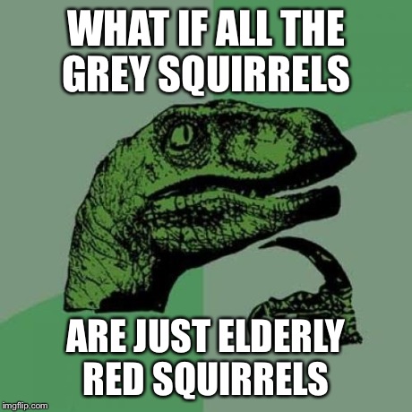 Philosoraptor Meme | WHAT IF ALL THE GREY SQUIRRELS ARE JUST ELDERLY RED SQUIRRELS | image tagged in memes,philosoraptor | made w/ Imgflip meme maker