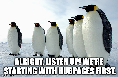 https://i.imgflip.com/d8hnh.jpg