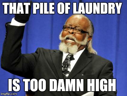 Too Damn High | THAT PILE OF LAUNDRY IS TOO DAMN HIGH | image tagged in memes,too damn high | made w/ Imgflip meme maker