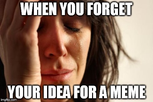 First World Problems | WHEN YOU FORGET YOUR IDEA FOR A MEME | image tagged in memes,first world problems | made w/ Imgflip meme maker