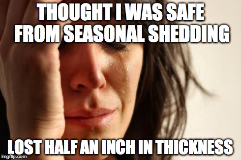 First World Problems Meme | THOUGHT I WAS SAFE FROM SEASONAL SHEDDING LOST HALF AN INCH IN THICKNESS | image tagged in memes,first world problems | made w/ Imgflip meme maker