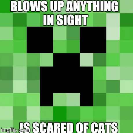 Scumbag Minecraft Meme | BLOWS UP ANYTHING IN SIGHT IS SCARED OF CATS | image tagged in memes,scumbag minecraft | made w/ Imgflip meme maker