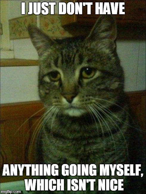 Depressed Cat Meme | I JUST DON'T HAVE ANYTHING GOING MYSELF, WHICH ISN'T NICE | image tagged in memes,depressed cat | made w/ Imgflip meme maker