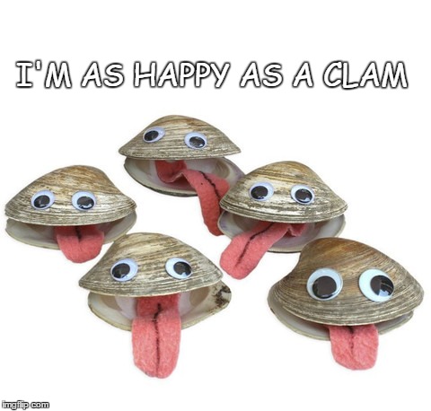 happy as a clam | I'M AS HAPPY AS A CLAM | image tagged in happy,as,a,clam | made w/ Imgflip meme maker