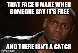 Kevin Hart Meme | THAT FACE U MAKE WHEN SOMEONE SAY IT'S FREE AND THERE ISN'T A CATCH | image tagged in memes,kevin hart the hell | made w/ Imgflip meme maker
