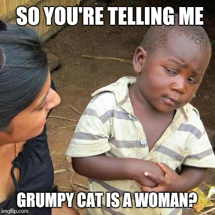 SO YOU'RE TELLING ME GRUMPY CAT IS A WOMAN? | image tagged in memes,third world skeptical kid | made w/ Imgflip meme maker
