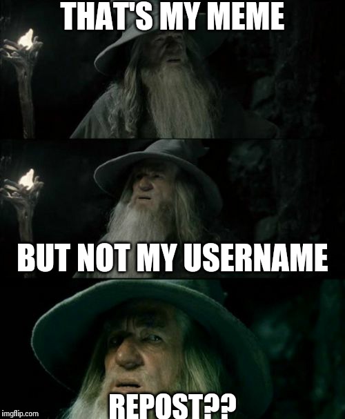 Confused Gandalf Meme | THAT'S MY MEME BUT NOT MY USERNAME REPOST?? | image tagged in memes,confused gandalf | made w/ Imgflip meme maker