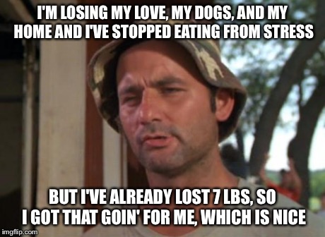 So I Got That Goin For Me Which Is Nice Meme | I'M LOSING MY LOVE, MY DOGS, AND MY HOME AND I'VE STOPPED EATING FROM STRESS BUT I'VE ALREADY LOST 7 LBS, SO I GOT THAT GOIN' FOR ME, WHICH  | image tagged in memes,so i got that goin for me which is nice | made w/ Imgflip meme maker