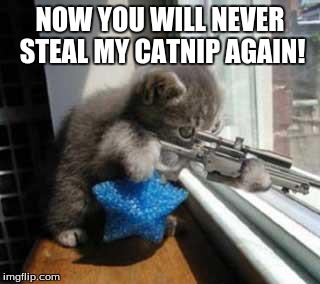 CatSniper | NOW YOU WILL NEVER STEAL MY CATNIP AGAIN! | image tagged in catsniper | made w/ Imgflip meme maker