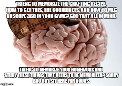 Scumbag Brain | TRIENG TO MEMORIZE THE CRAFTING RECIPE, HOW TO GET THIS, THE COORDINETS, AND HOW TO MLG NOSCOPE 360 IN YOUR GAME? GOT THAT ALL IN MIND. TRIE | image tagged in memes,scumbag brain | made w/ Imgflip meme maker