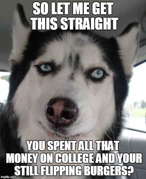 College Problems | SO LET ME GET THIS STRAIGHT YOU SPENT ALL THAT MONEY ON COLLEGE AND YOUR STILL FLIPPING BURGERS? | image tagged in college,animals,problems,college life | made w/ Imgflip meme maker