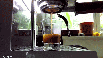 Morningshot - Imgflip