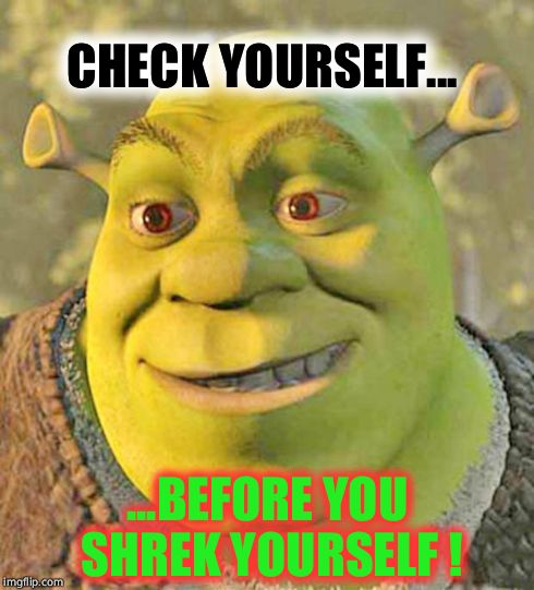 Shrek | CHECK YOURSELF... ...BEFORE YOU SHREK YOURSELF ! | image tagged in shrek | made w/ Imgflip meme maker
