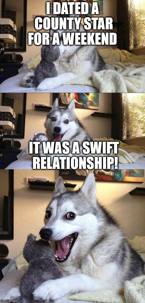 I Dated A Country Star Swift-ly  | I DATED A COUNTY STAR FOR A WEEKEND IT WAS A SWIFT RELATIONSHIP! | image tagged in memes,bad pun dog,taylor swift,punny | made w/ Imgflip meme maker