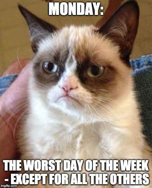 Grumpy Cat | MONDAY: THE WORST DAY OF THE WEEK - EXCEPT FOR ALL THE OTHERS | image tagged in memes,grumpy cat | made w/ Imgflip meme maker