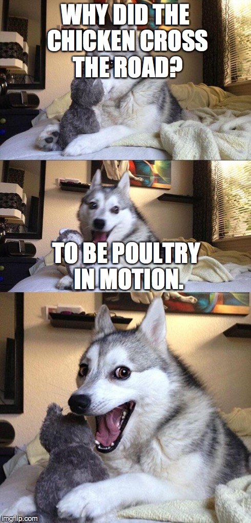 Bad Pun Dog | WHY DID THE CHICKEN CROSS THE ROAD? TO BE POULTRY IN MOTION. | image tagged in memes,bad pun dog | made w/ Imgflip meme maker